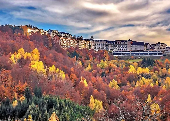 Pleasure Lux Gold Kopaonik